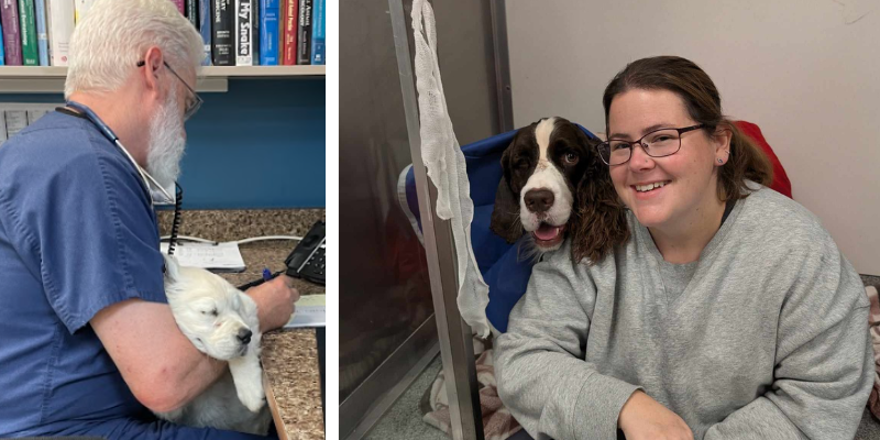 Two images collaged together. The first is of an emergency veterinarian holding a puppy in the ER while talking to a client on the phone. The second photo is a team member sitting with a dog in a kennel in the ICU at Animal Emergency & Referral Center of Minnesota.