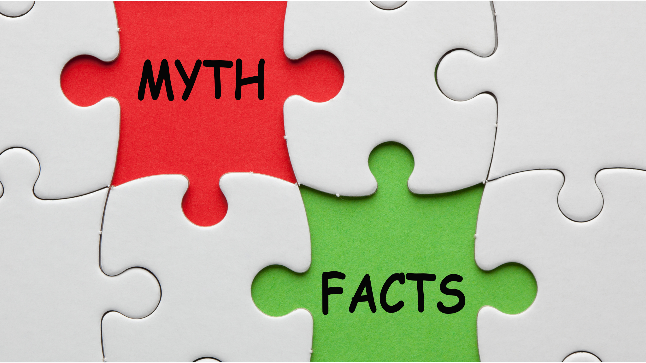 Pet E.R. Myths with E.R. Vet Dr.  Schader