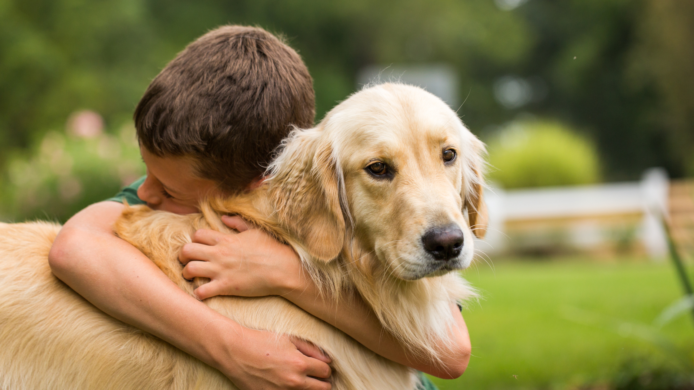 Pet Cancer Treatment Options with Dr. Briana Keller