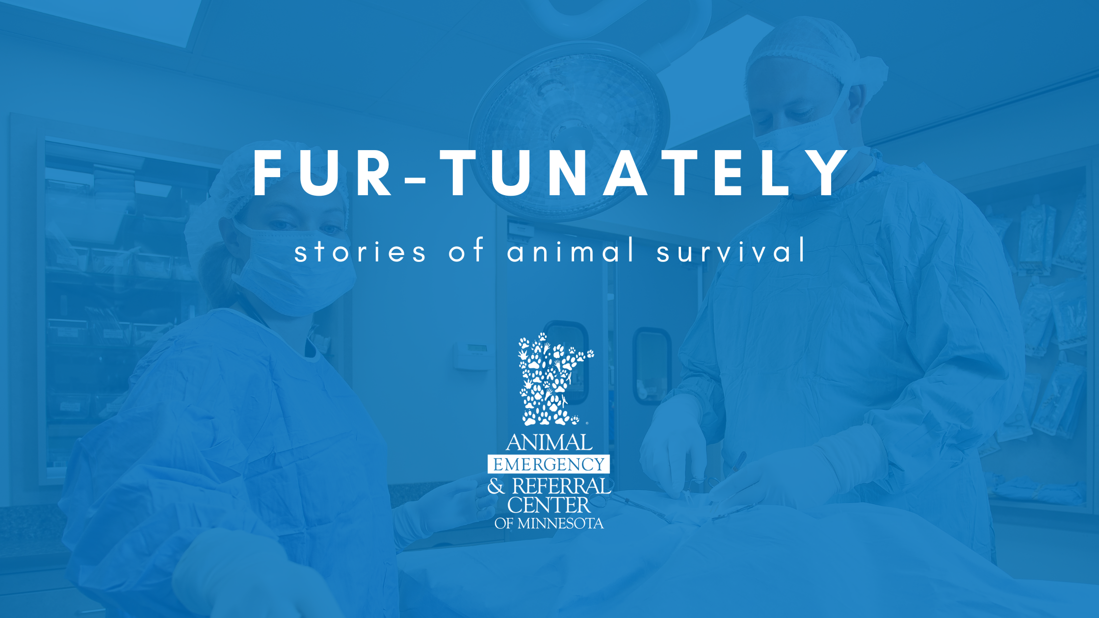 Fur-Tunately: Stories of Animal Survival | Episode XXIII: Basel’s Mysterious Collapse