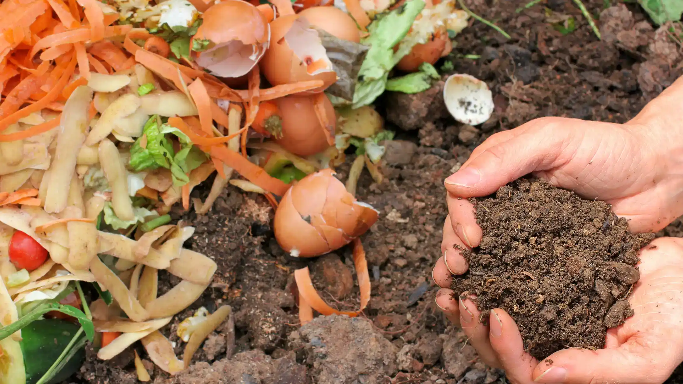 Is Compost Dangerous for Pets?
