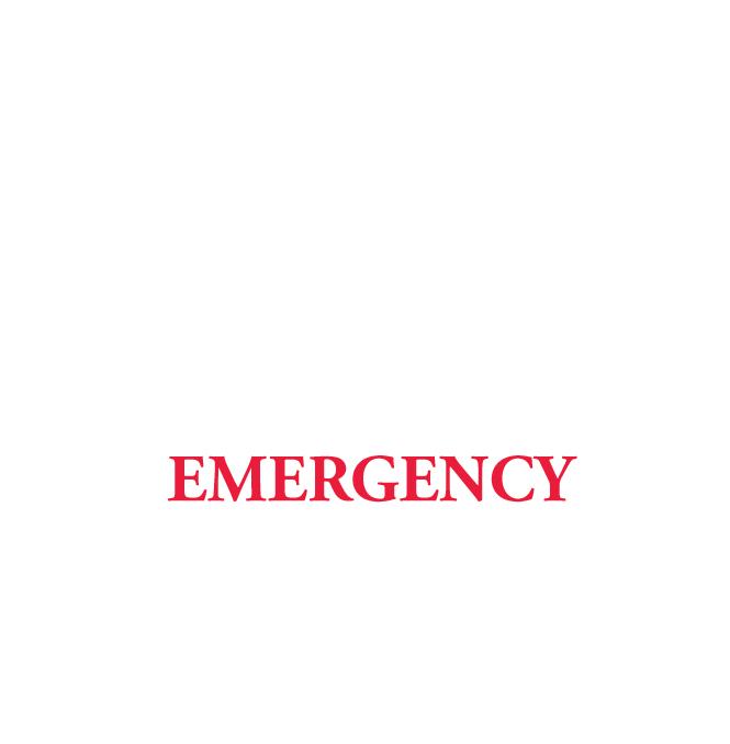24/7 Emergency Veterinary Care icon