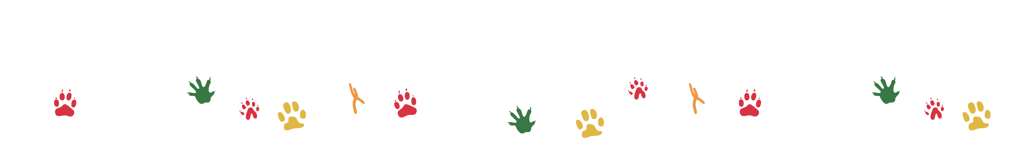 Paw prints of various species treated by AERC