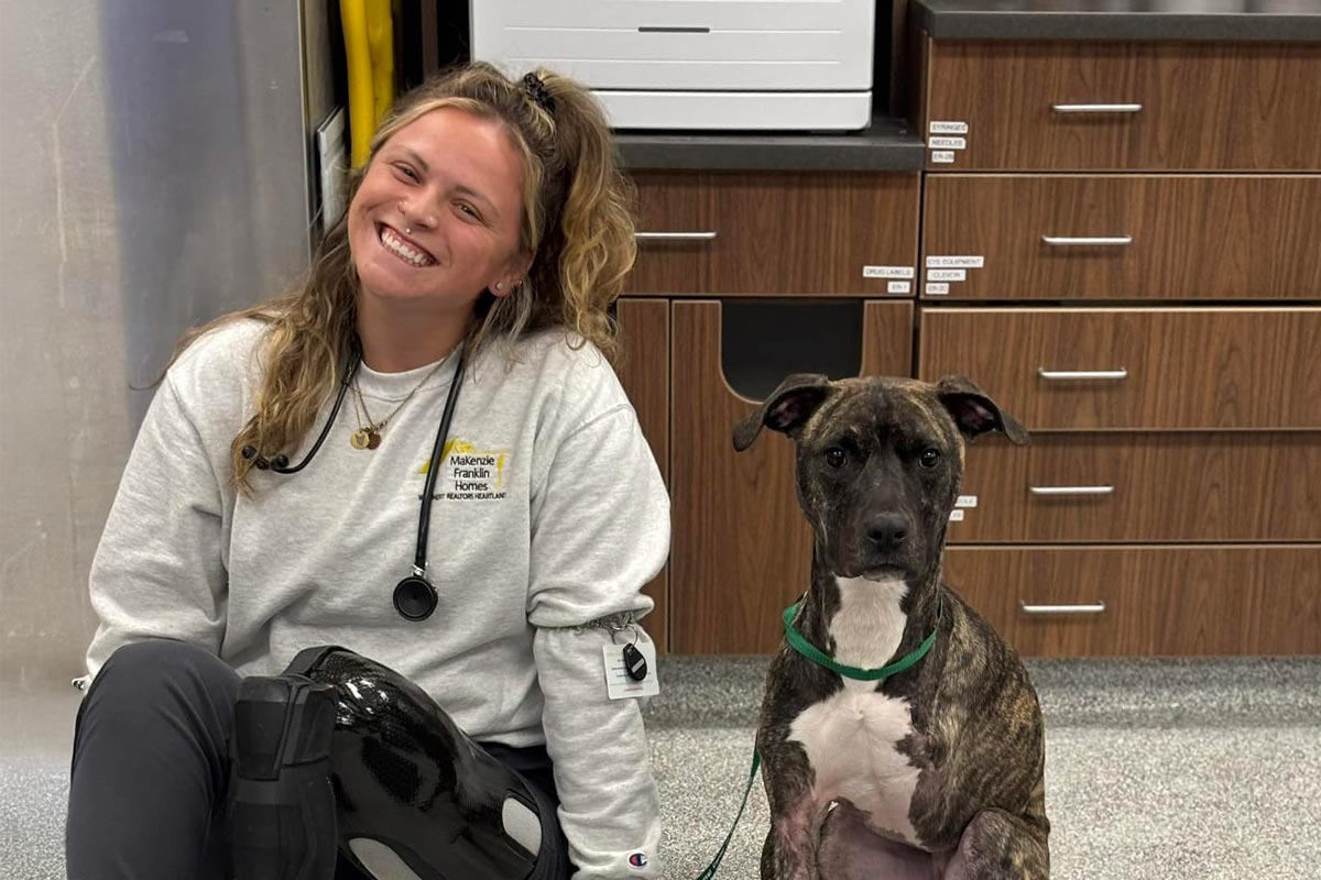 One of our staff with a canine patient