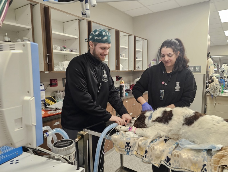 2 people with a dog under anesthesia