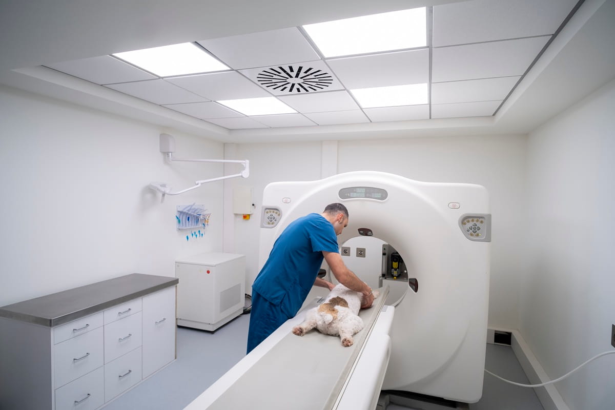 Cone-Beam CT (CBCT) Scan