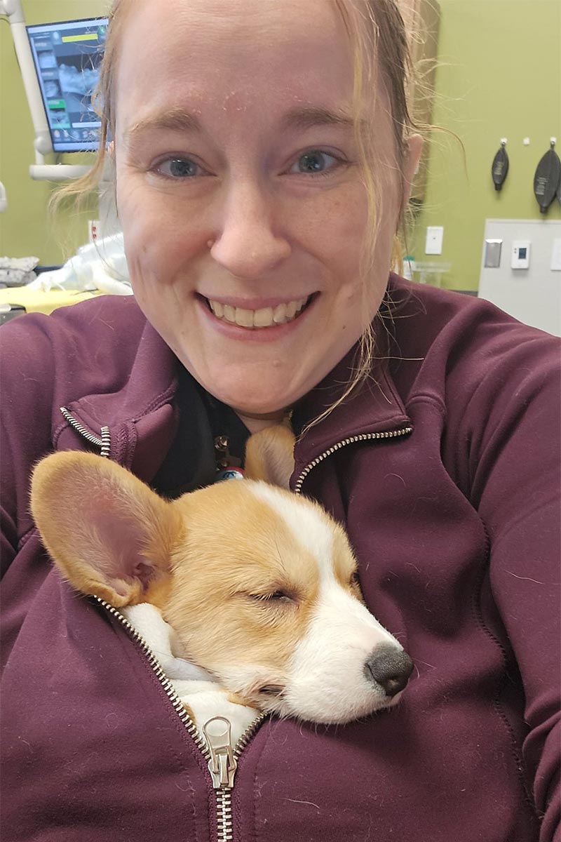 One of our staff with a canine patient