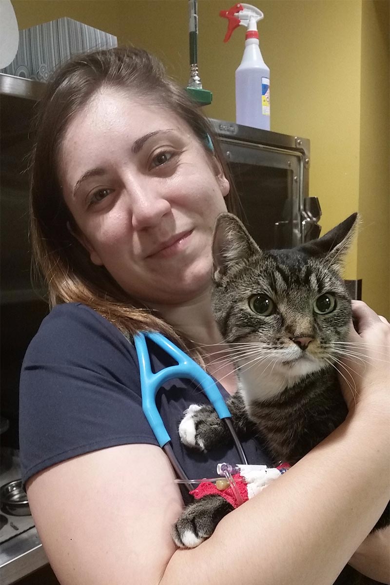 Our Vet Tech with a kitty patient