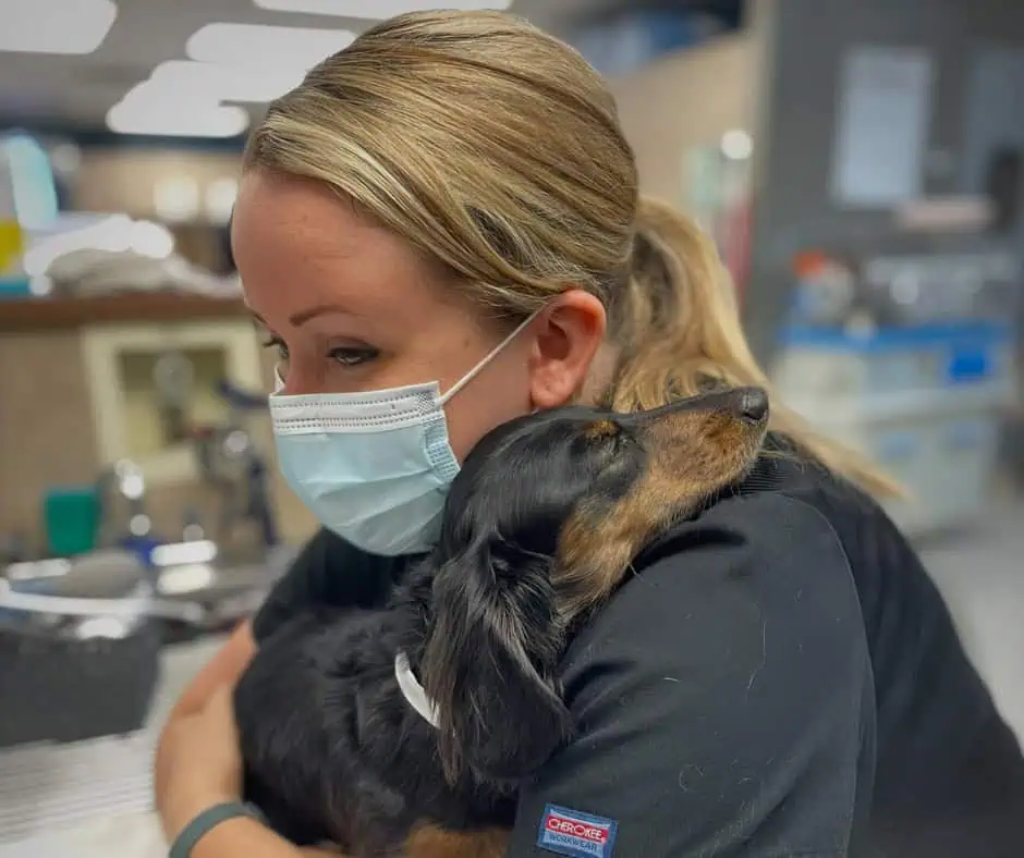 AERC team comforting a hospitalized dog