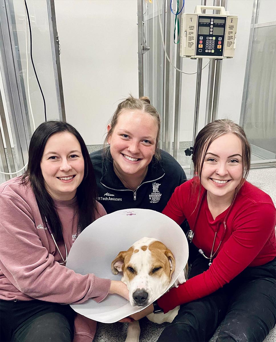 Our team with a canine patient