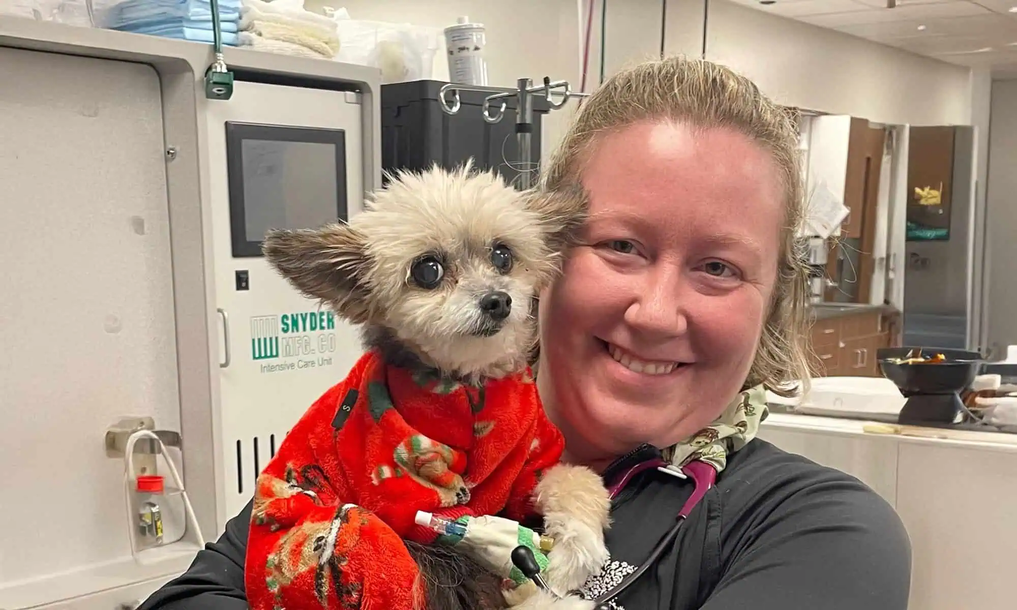 One of our canine patients